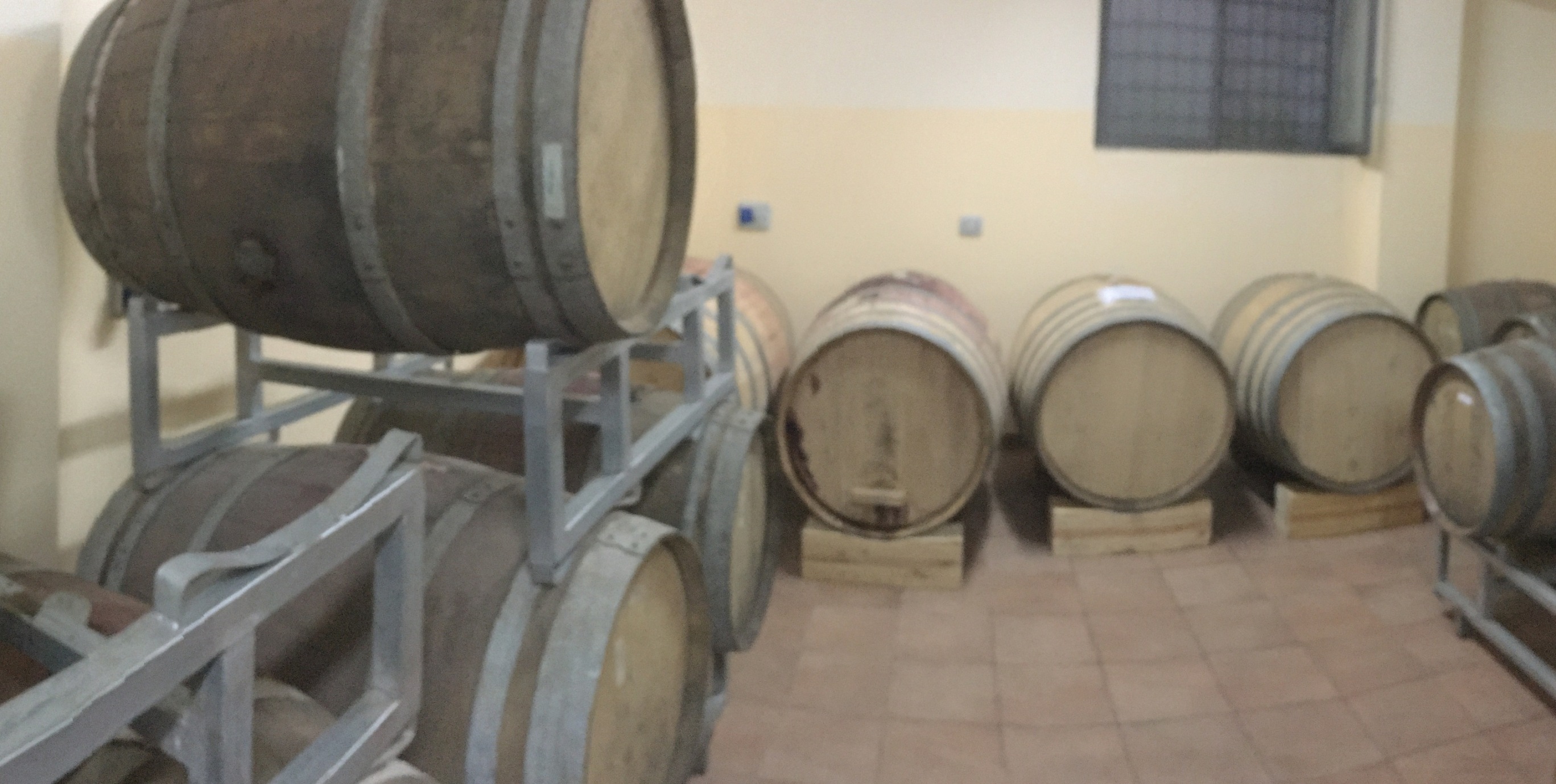 bottiLegno