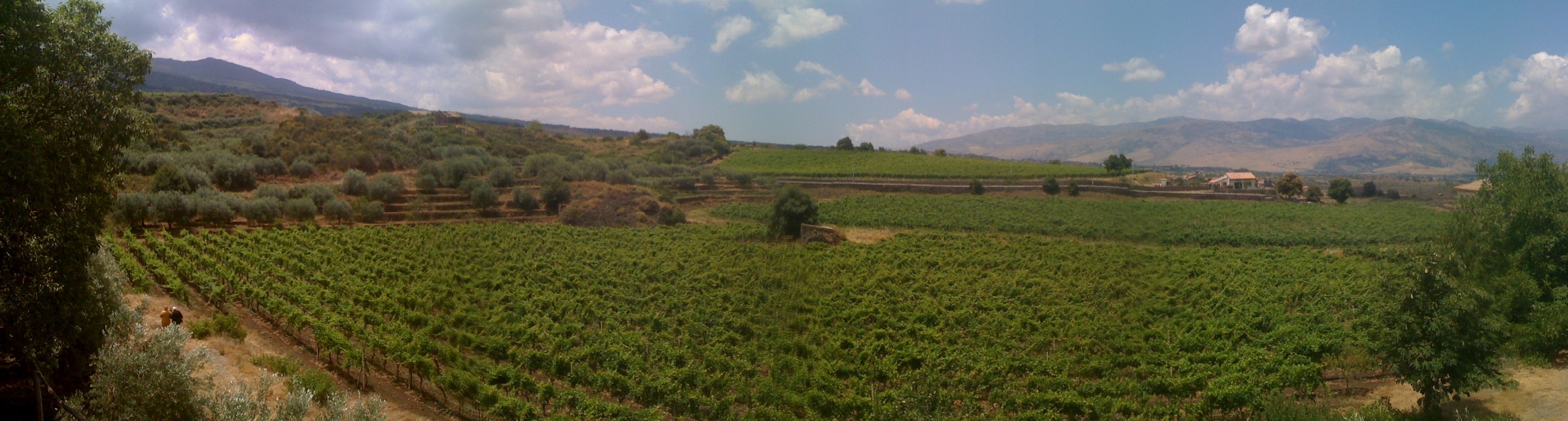 panoramica2